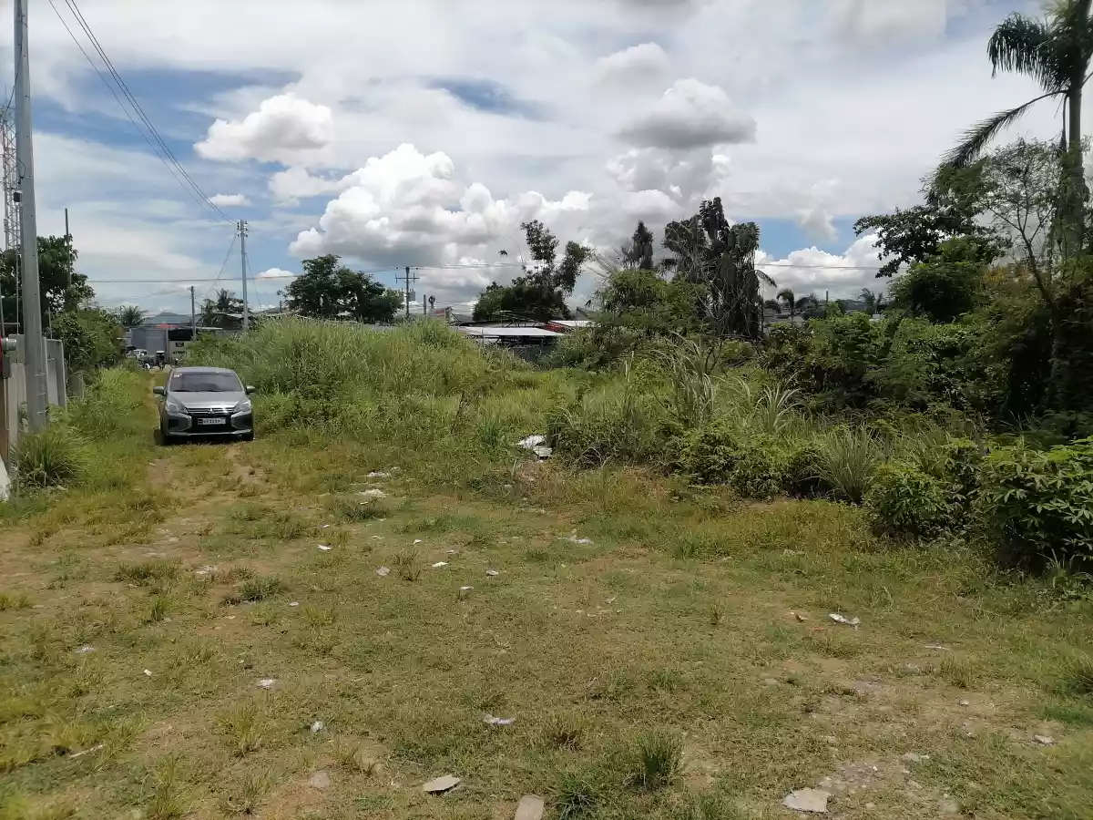 FOR SALE RESIDENTIAL LOT IN TALISAY - photo 2