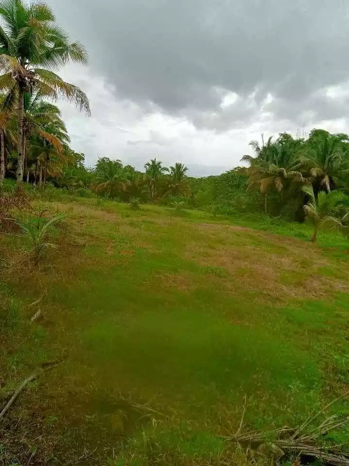 Lot For Sale in Ormoc Leyte