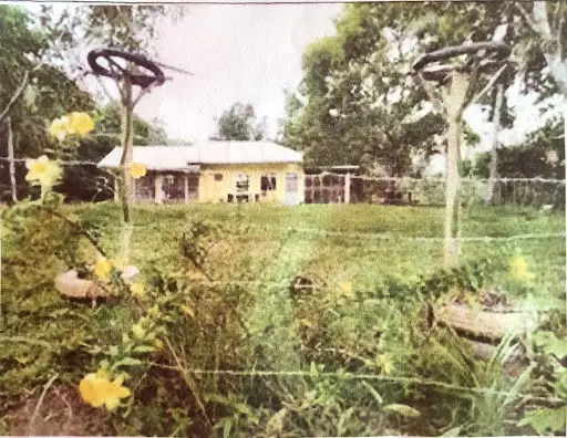 Farmland with house & lot for sale