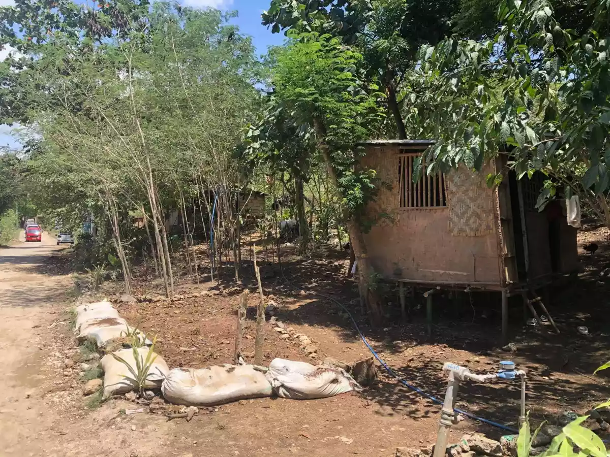 Lot for Sale - Ideal for Subdivision - photo 6