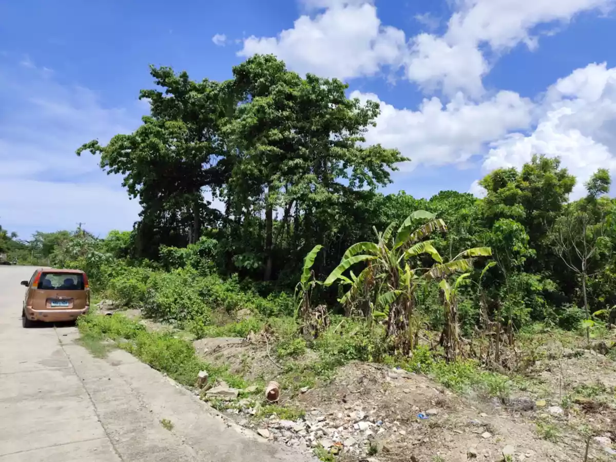 For Sale Lot near CCLX 4583sqm with Titles - photo 4
