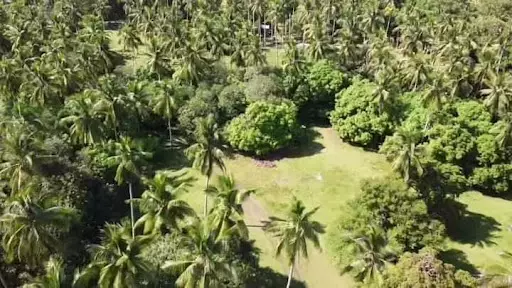 Lot For Sale at Samal — Agricultural Lot in Babak, Island Garden City of Samal, Davao del Norte — Photo 3