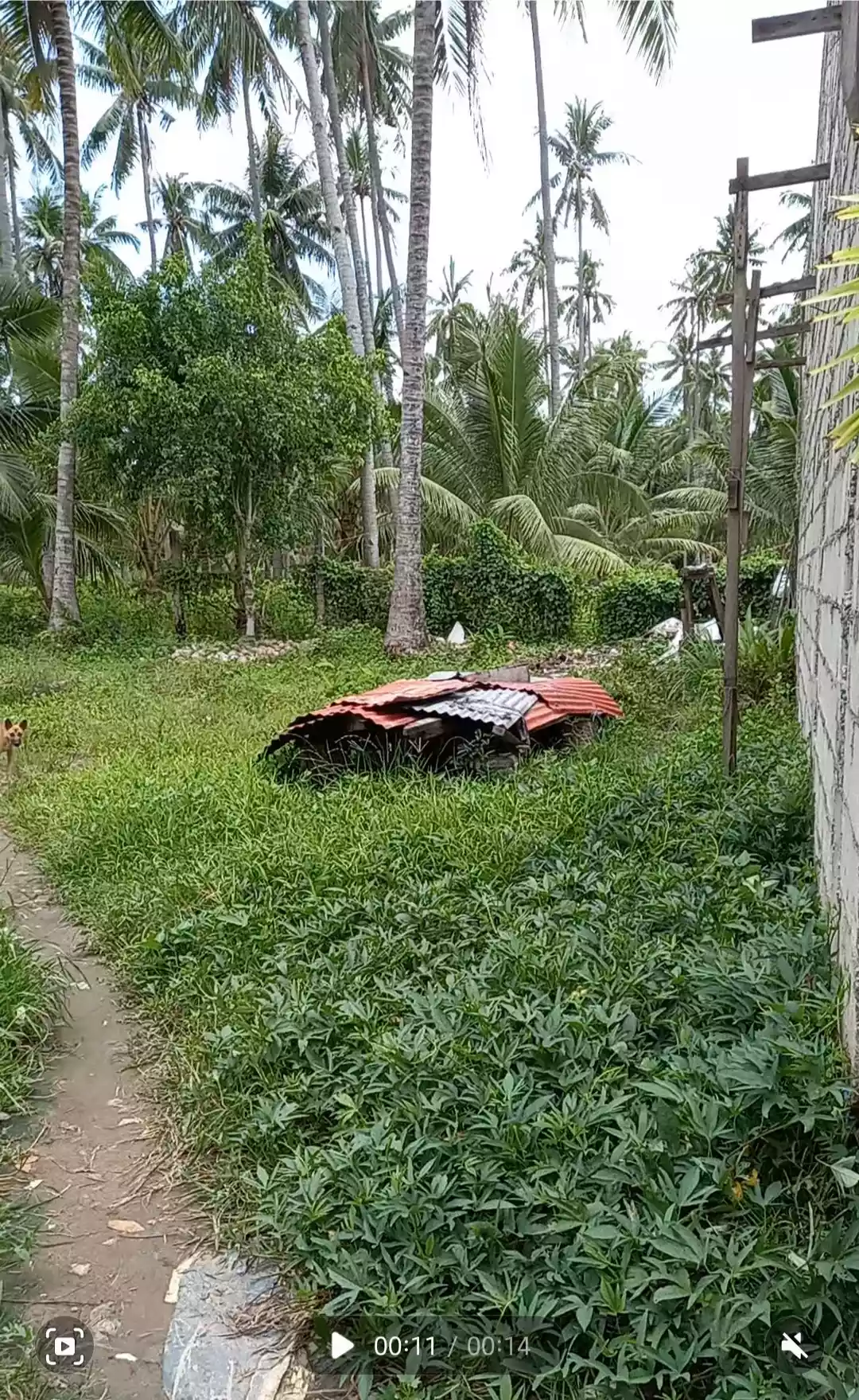 LOT FOR SALE IN TUBTUBON, SIBULAN — Residential Lot in Negros Oriental, Philippines — Photo 4