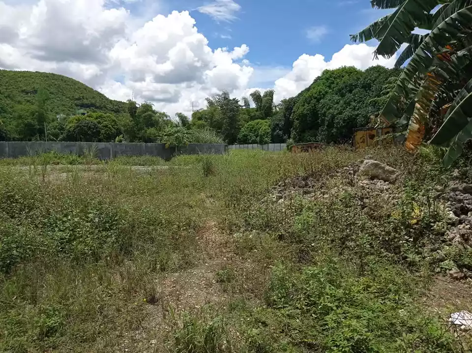 INDUSTRIAL LOT IN CONSOLACION - photo 5