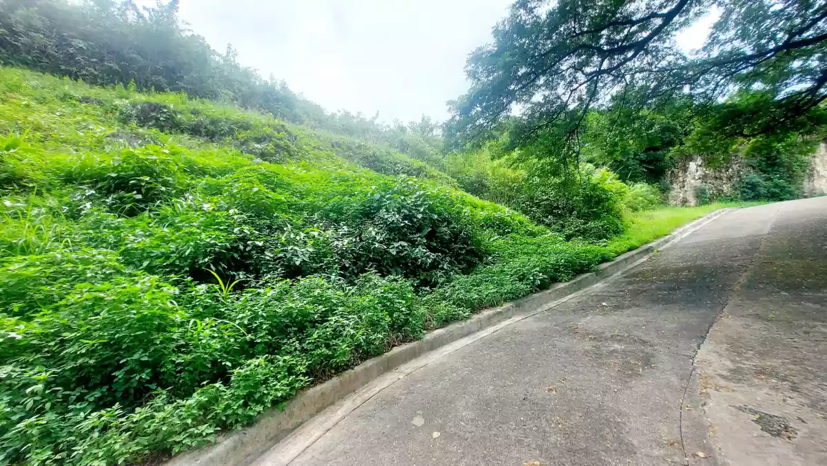 Residential Lots Adjascent for Sale in Aspen Heights Consolacion, Cebu — Residential Lot in Consolacion, Cebu, Philippines — Photo 5