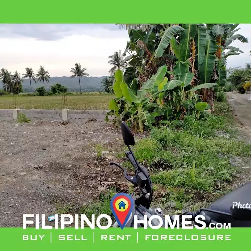 Residential lot — Residential Lot in Butuan City, Agusan Del Norte, Philippines — Photo 3