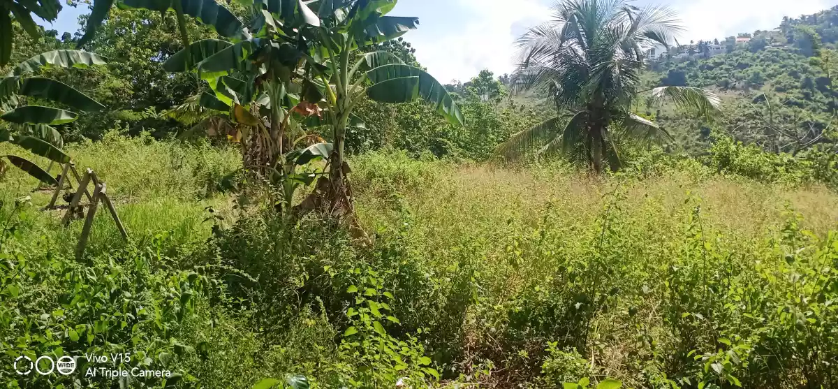 Open photo 13 of 13 — FARM LOT FOR SALE IN DALAGUETE, CEBU