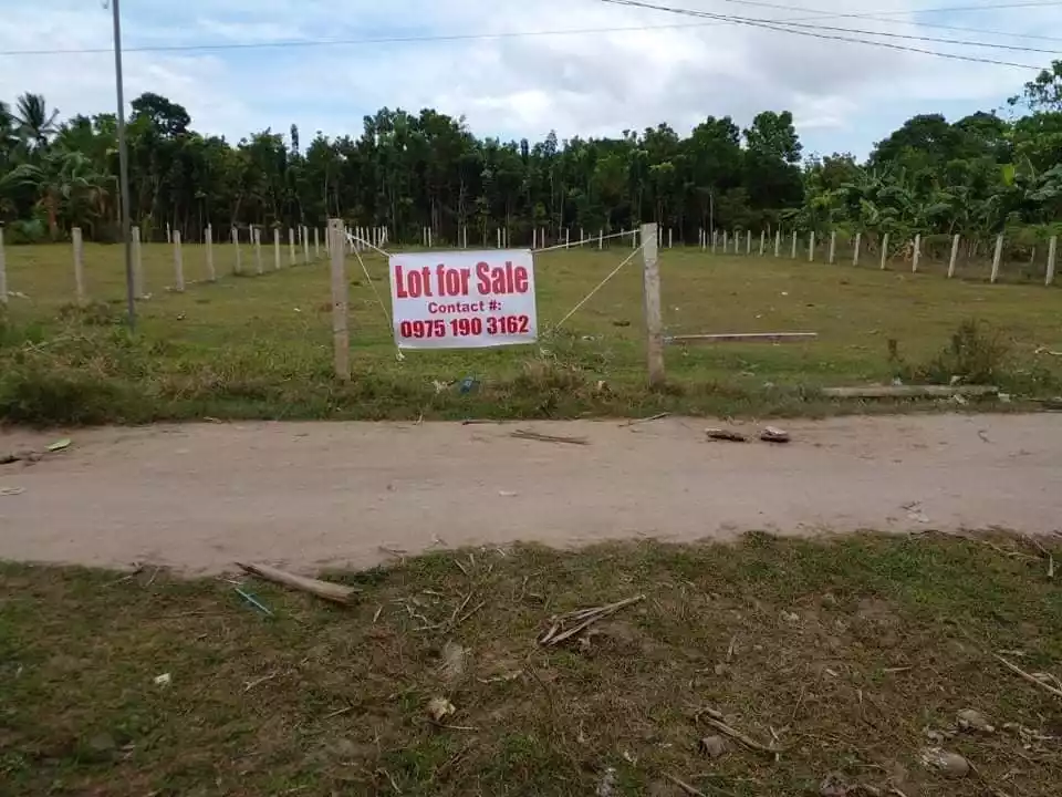 Clean Title Lot for Sale in Batinguel Dumaguete City