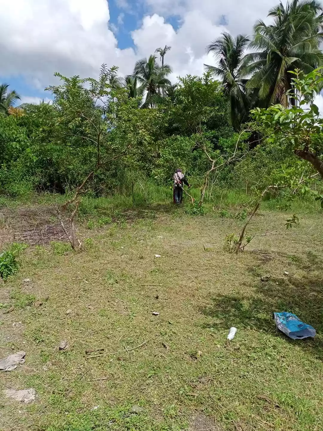 Titled Lot for Sale - photo 2