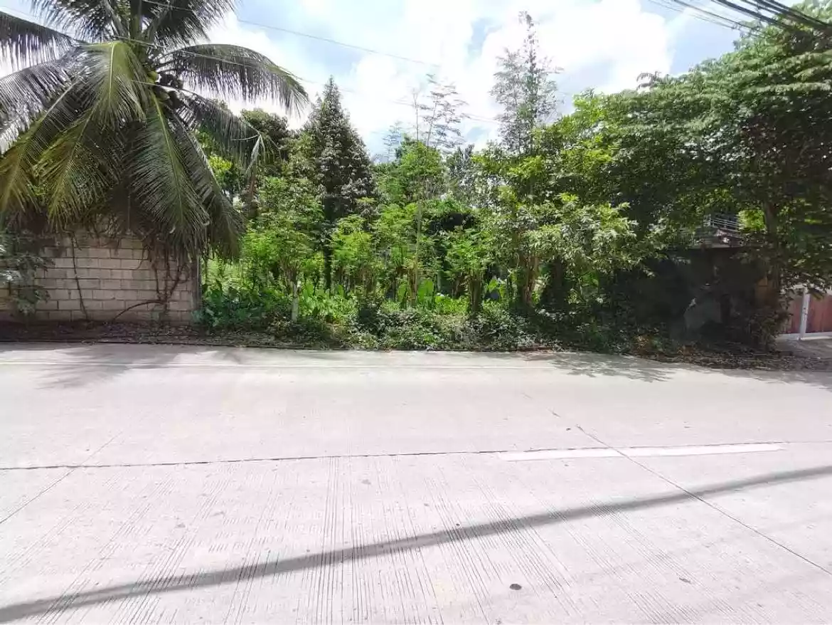 Commercial lot — Commercial Lot in Valencia, Negros Oriental, Philippines — Photo 3