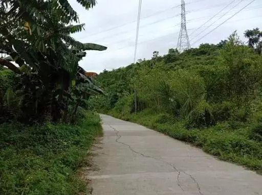 Lot only for sale