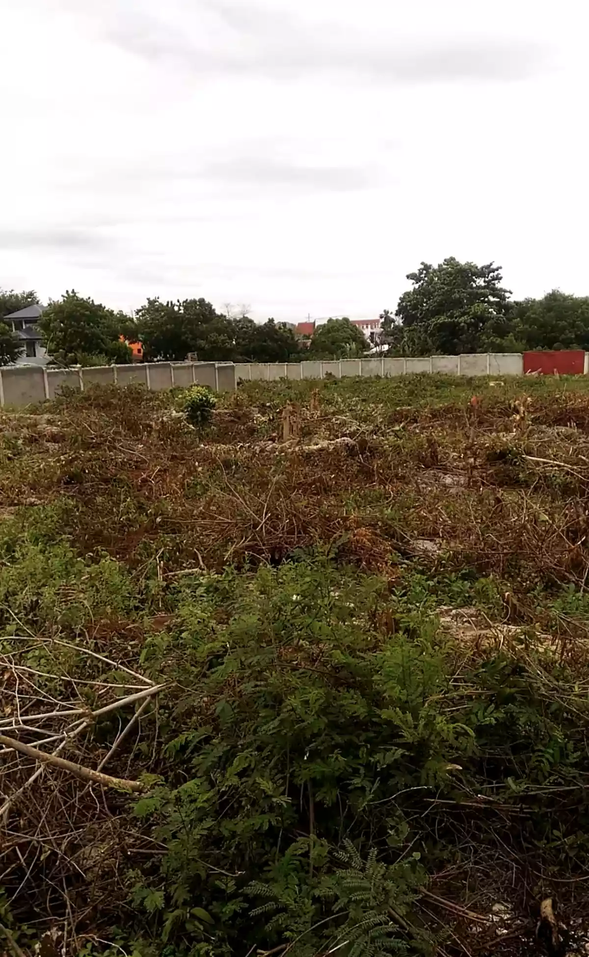 Lot For Sale in Mactan Lapulapu - photo 2