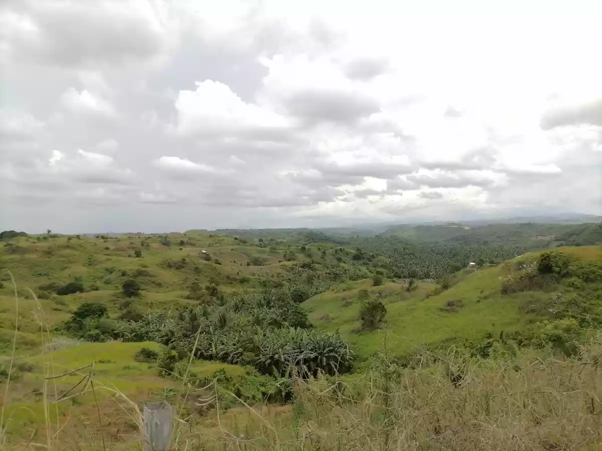 Farm Lots in Tokawal Alabel for Sale
