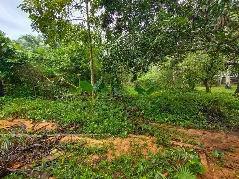 Lot for sale in Cabadbaran City - photo 2