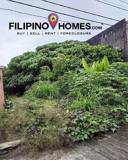 Residential Lot for Sale in Naga, Camarines Sur — Residential Lot in Pacol Rd, Naga, Camarines Sur — Photo 3