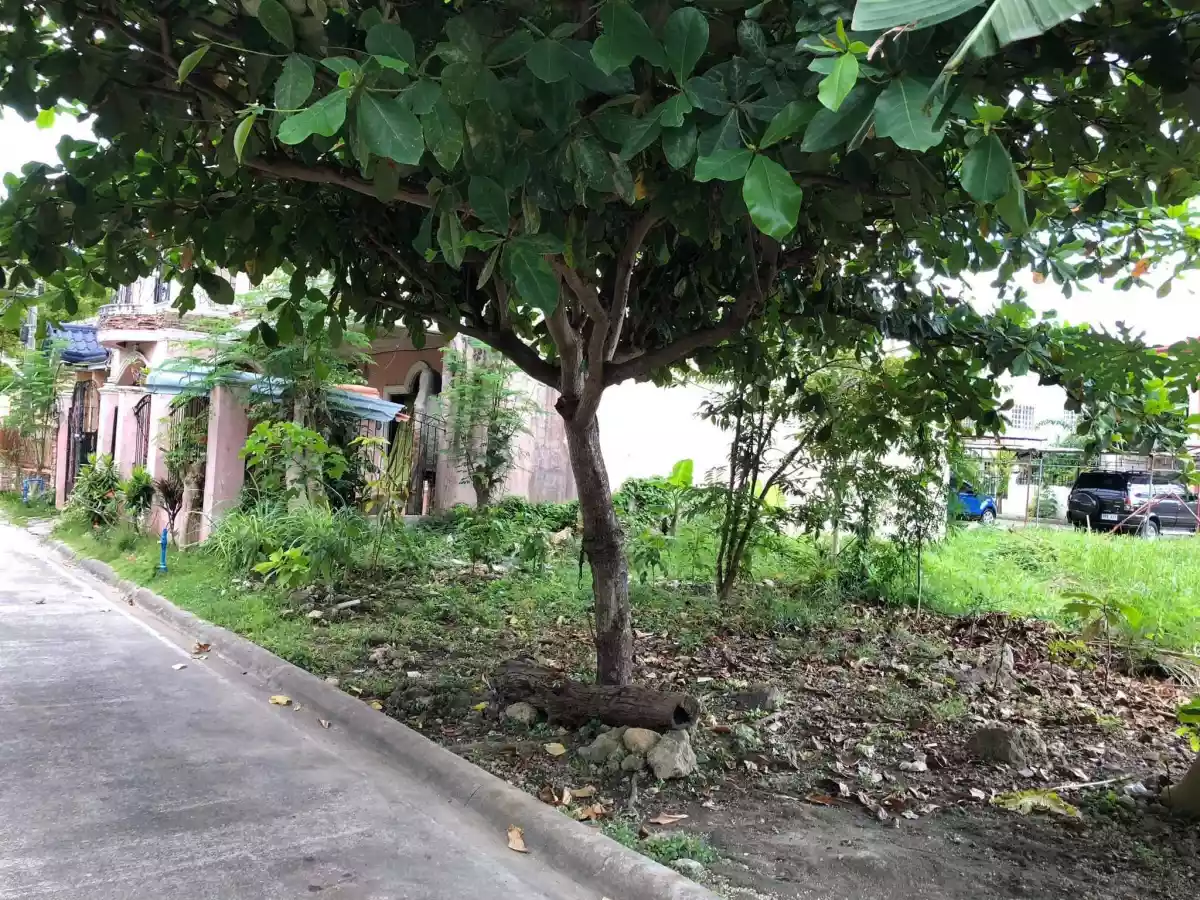 Pacific Grand Villa Lot Only Forsale!! — Residential Lot in M.L. Quezon National Highway, Lapu-Lapu City, Cebu — Photo 3