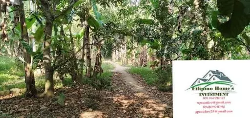 Very rush sale lot only — Agricultural Lot in Cebu, Philippines — Photo 3