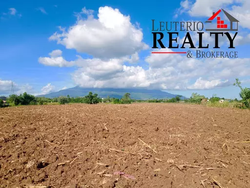 Agri Land — Agricultural Lot in Naga, Camarines Sur, Philippines — Photo 4