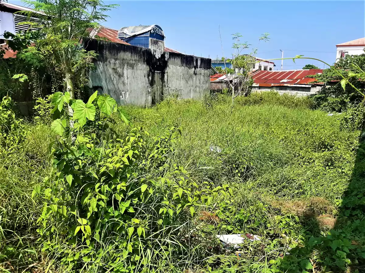 SUBDIVISION LOT FOR SALE IN ILIGAN CITY 