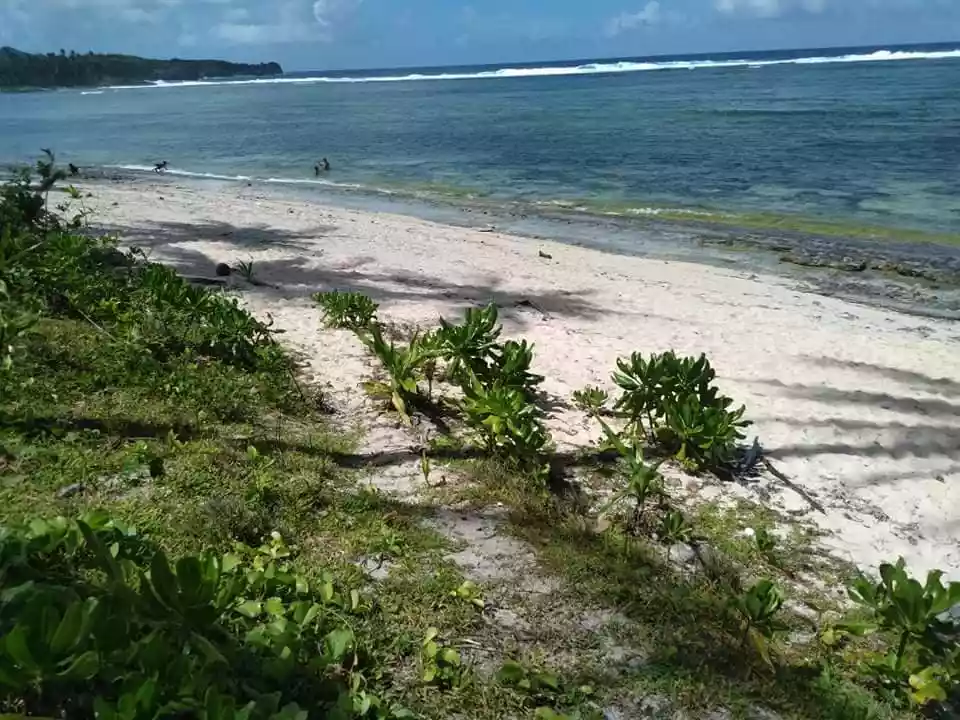 Beach Lot For Sale Sta. Monica, Siargao 