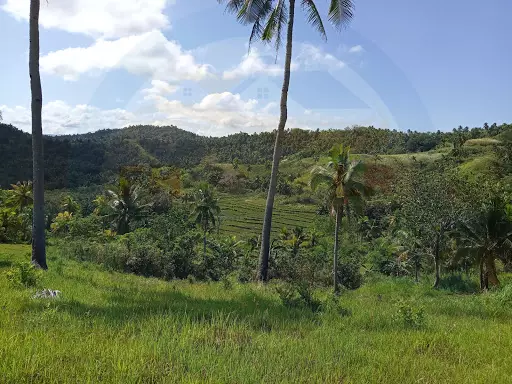 Open photo 31 of 106 — Secret Paradise of Tarangnan Samar