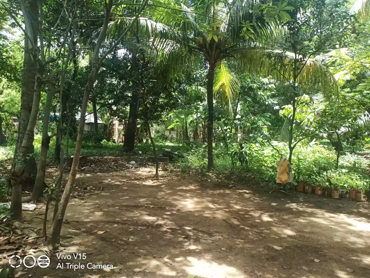 COMMERCIAL/RESIDENTIAL LOT FOR SALE IN SOUTH POBLACION, CITY OF NAGA, CEBU