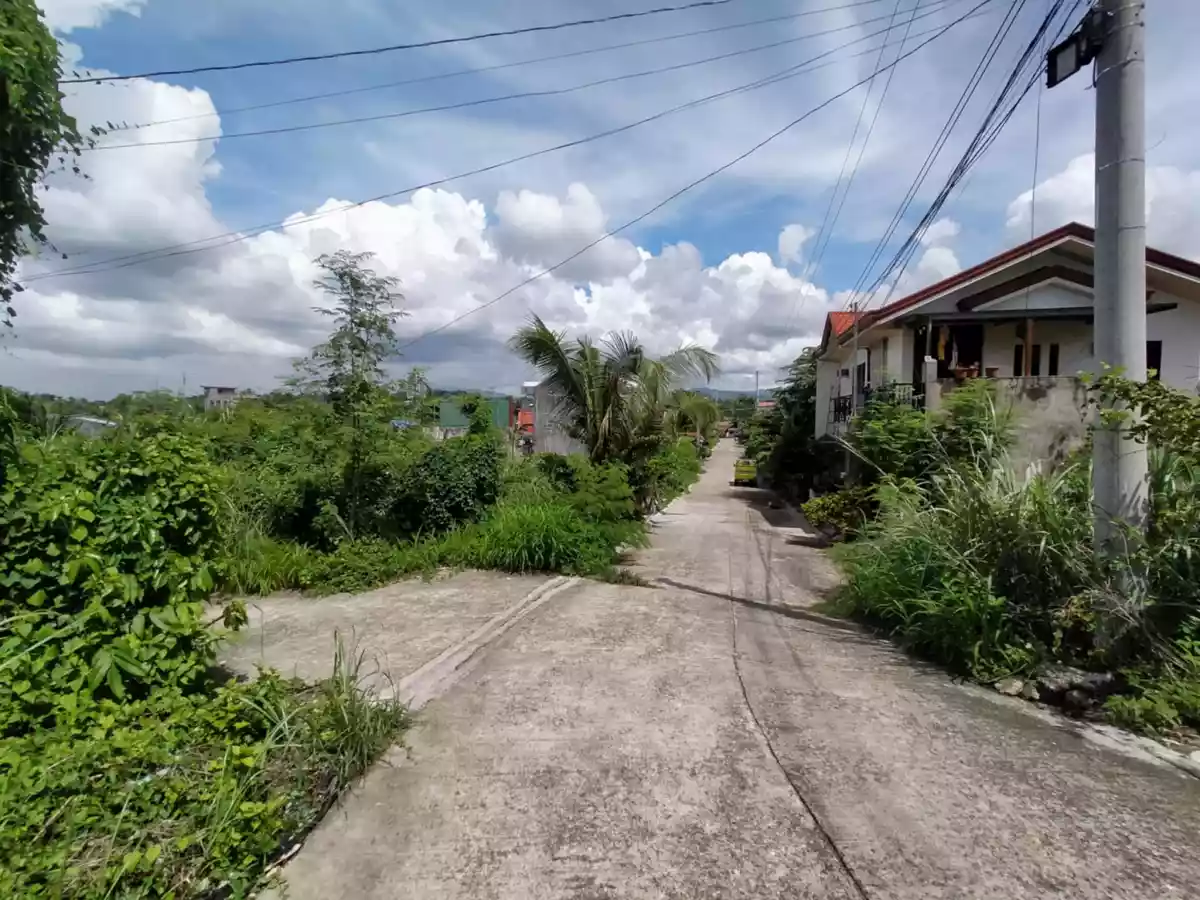 Lot for Sale Sheena Homes 2 Subdivision — Residential Lot in Liloan, Cebu, Philippines — Photo 4