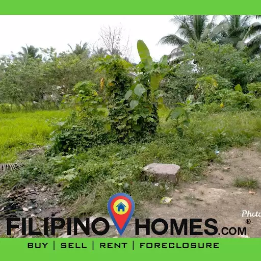 Residential lot — Residential Lot in Butuan City, Agusan Del Norte, Philippines — Photo 5