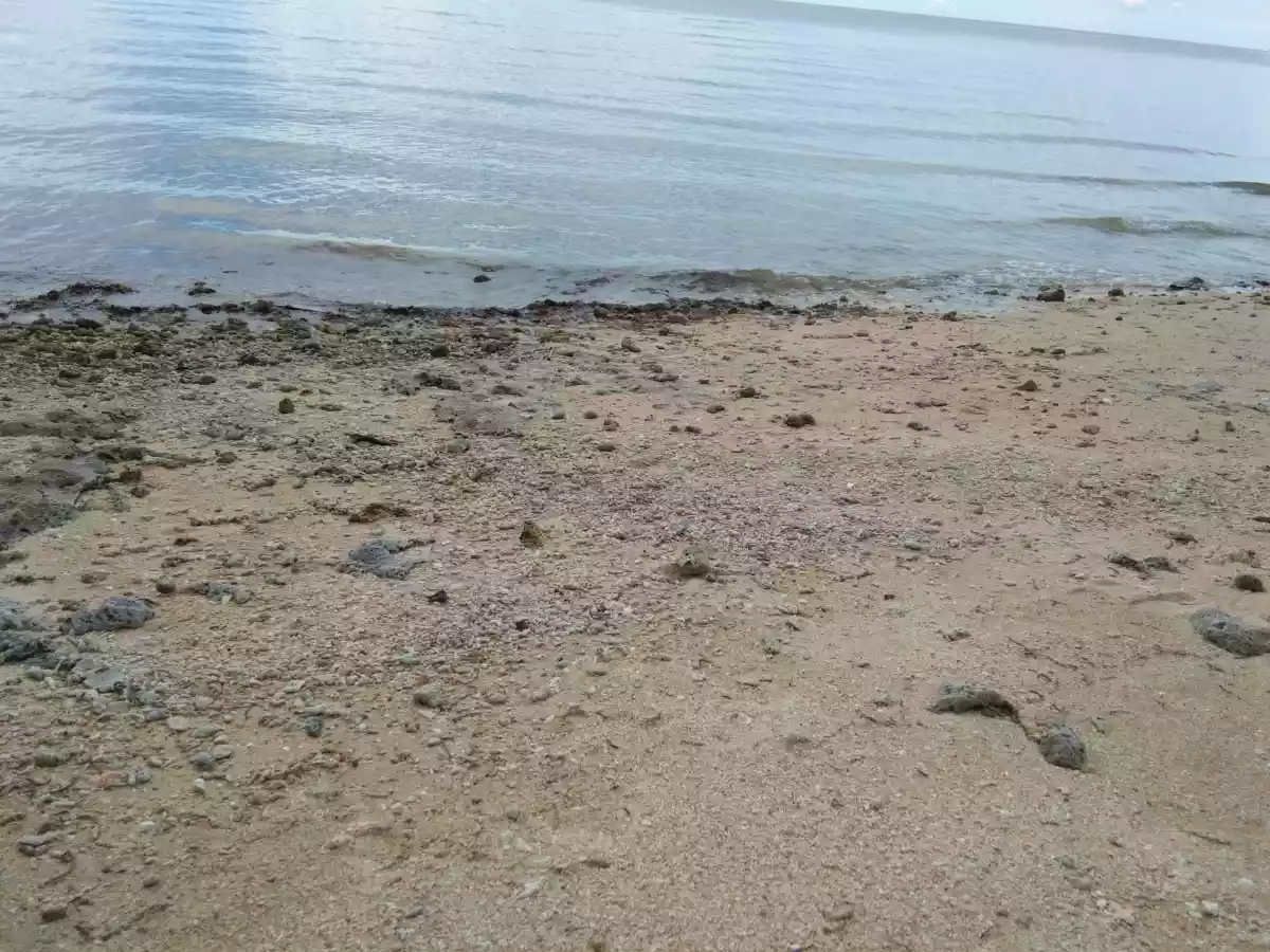 White Sand Beach Lot - photo 6