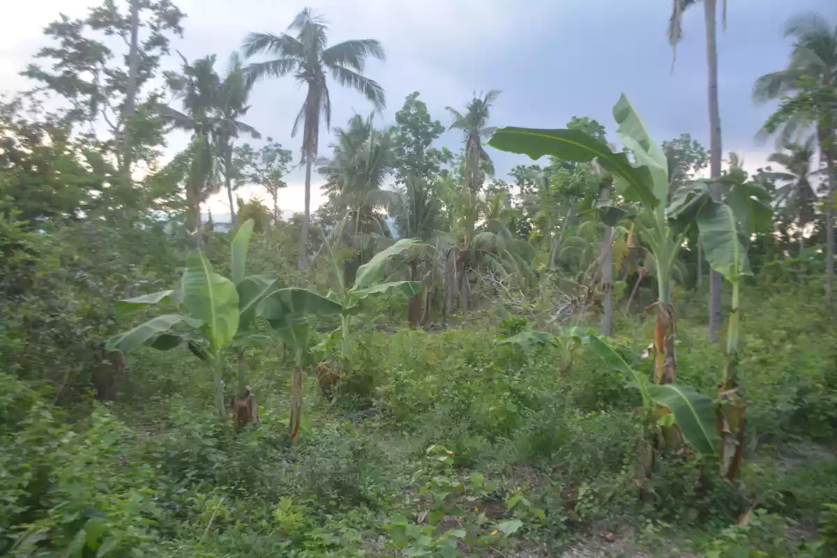 LOT FOR SALE IN CARCAR (LOT 2) - photo 3