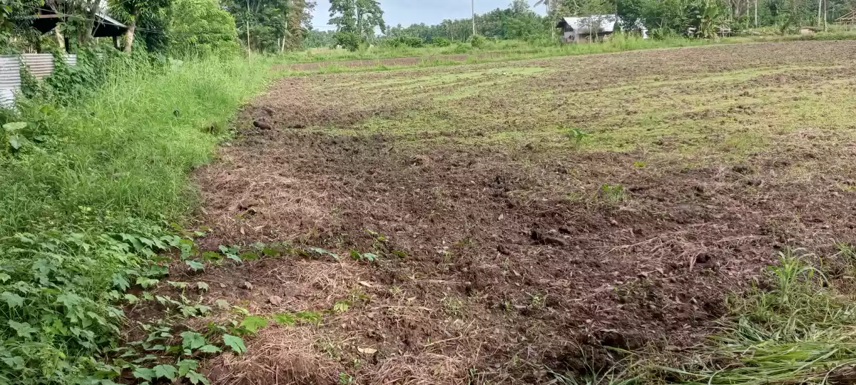 Titled Farm lot Good For Housing 