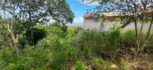 Open photo 14 of 16 — Overlooking City View in Maria Luisa Banilad lot only 