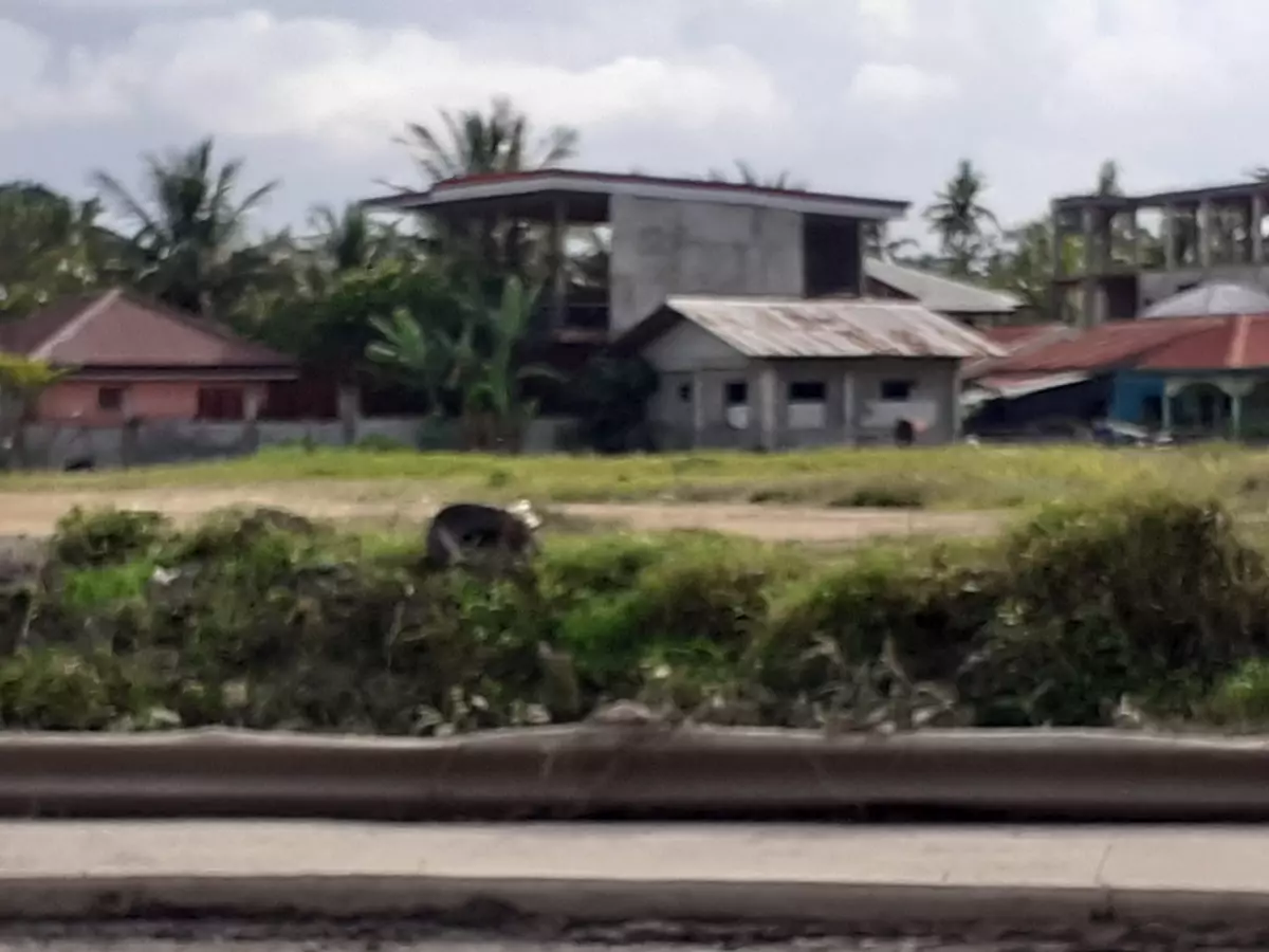 Lot for sale @ bayabas CDO along the high way1has