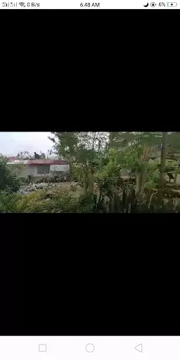 Residential Lot for Sale in Minglanilla, Cebu — Residential Lot in Cebu, Philippines — Photo 4