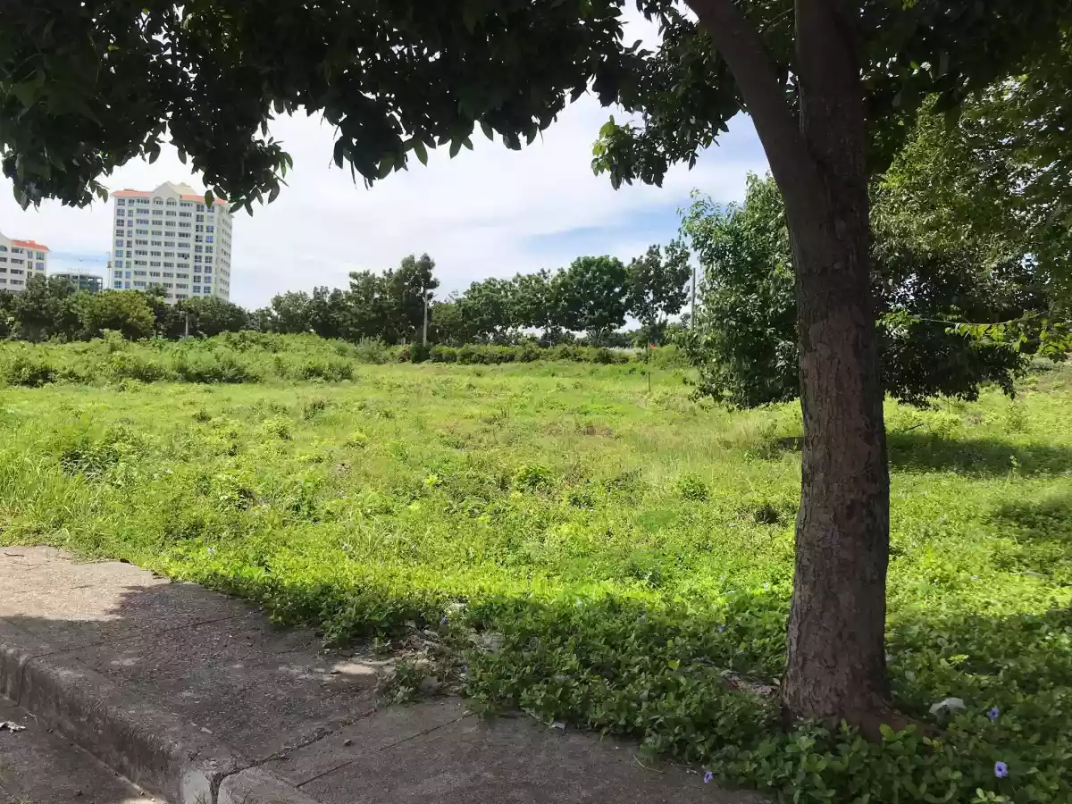 Beach lot for sale - photo 5