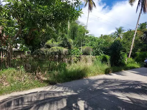 Residential title 130103-17-258 — Residential Lot in Cabadbaran City, Agusan Del Norte, Philippines — Photo 3