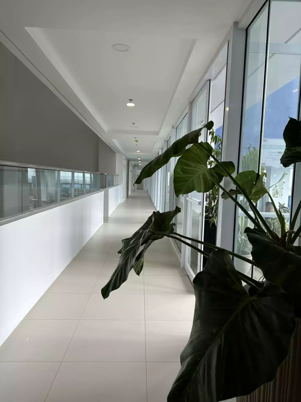 1 BR FOR RENT — 1 Bedroom in Apas, Cebu City, Cebu — Photo 7