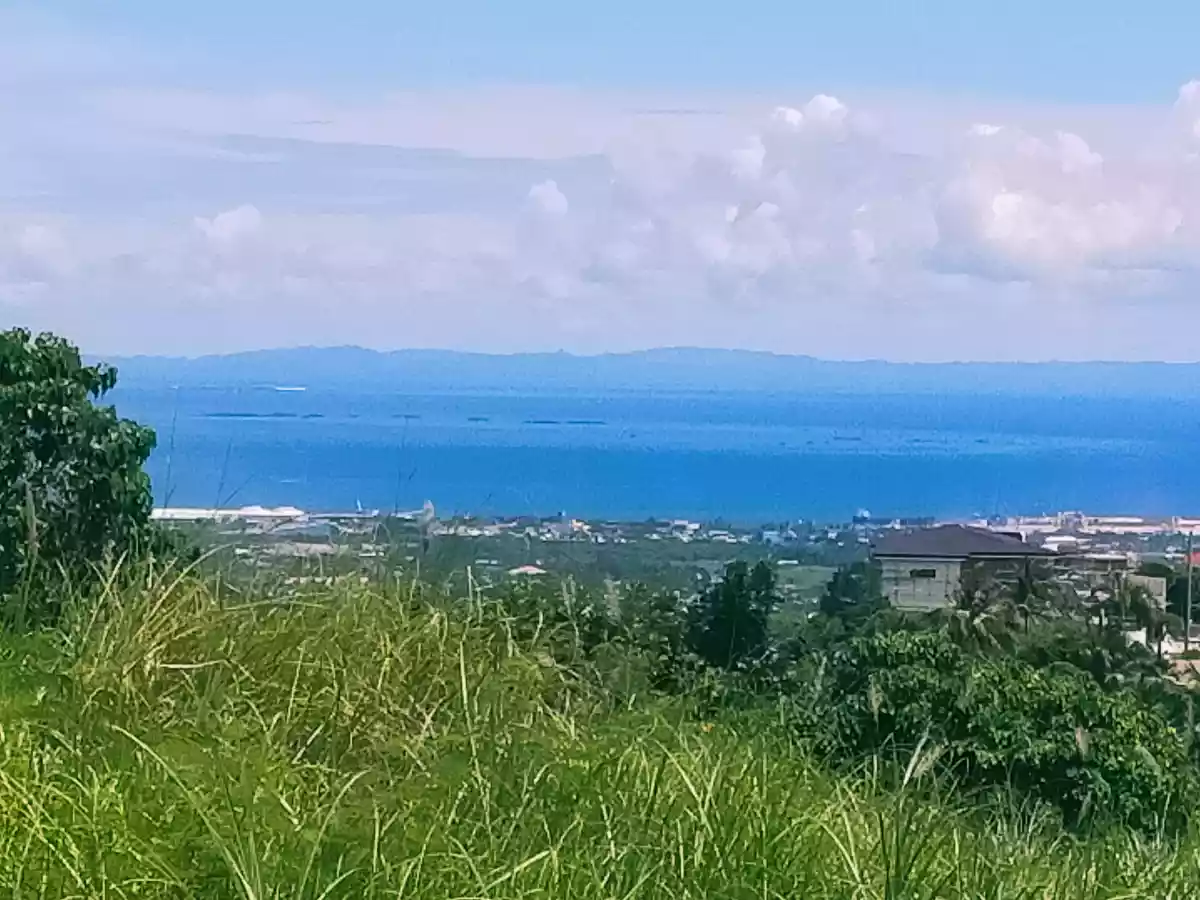 Vista Grande