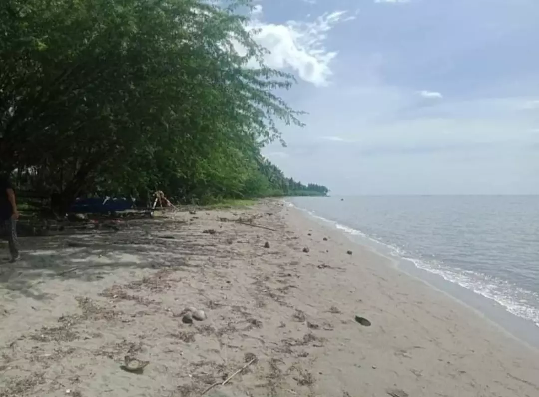 Beach Lot FOR SALE — Beach Lot in Banaybanay, Davao Oriental, Philippines — Photo 4