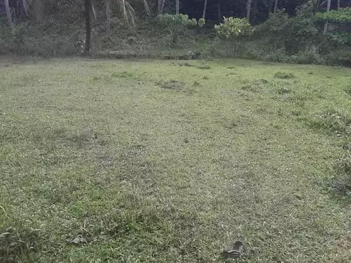 For Sale Farm lot — Agricultural Lot in Pilar, Surigao del Norte, Philippines — Photo 2