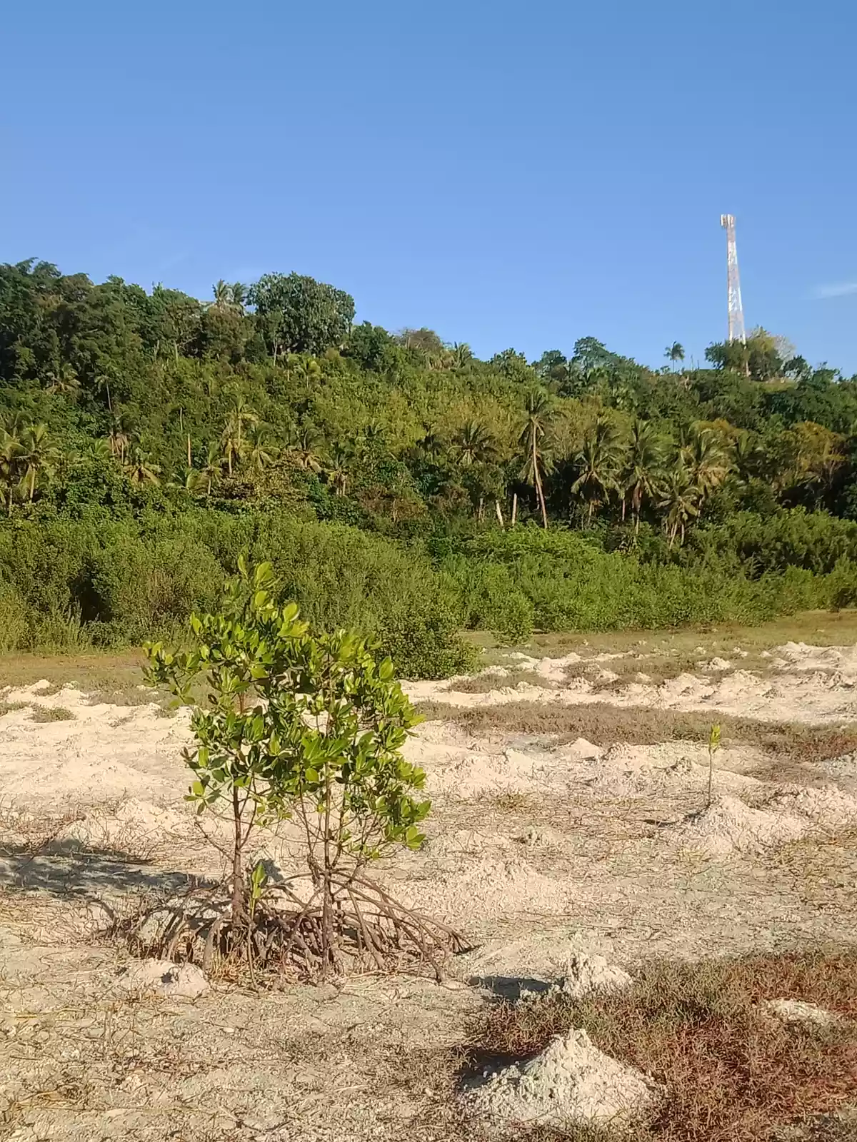 Bohol Beach Lot for sale
