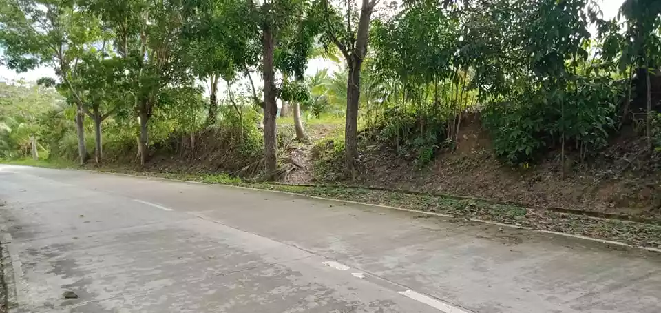 Agricultural Lot In Argao — Agricultural Lot in Cebu, Philippines — Photo 3