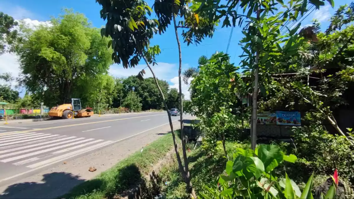 Commercial/Residential along with National highway - photo 5