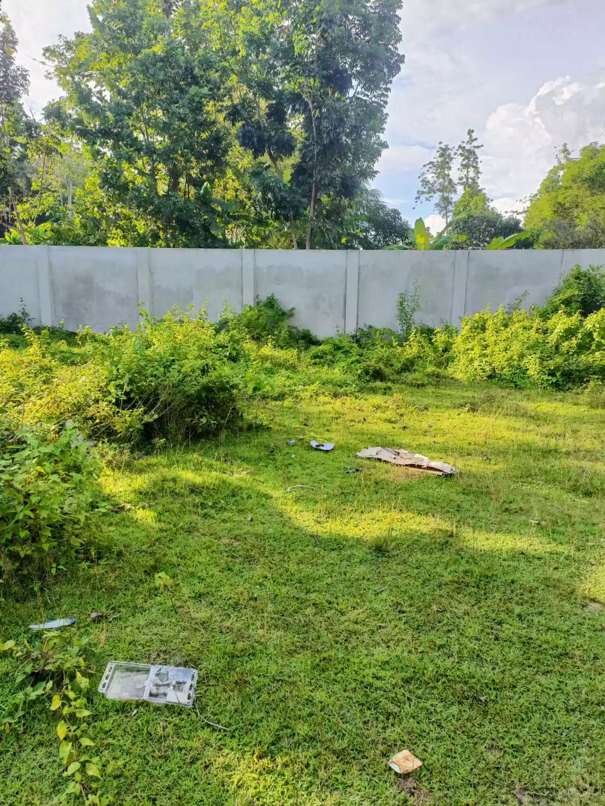 LOT FOR SALE — Residential Lot in Negros Oriental, Philippines — Photo 3