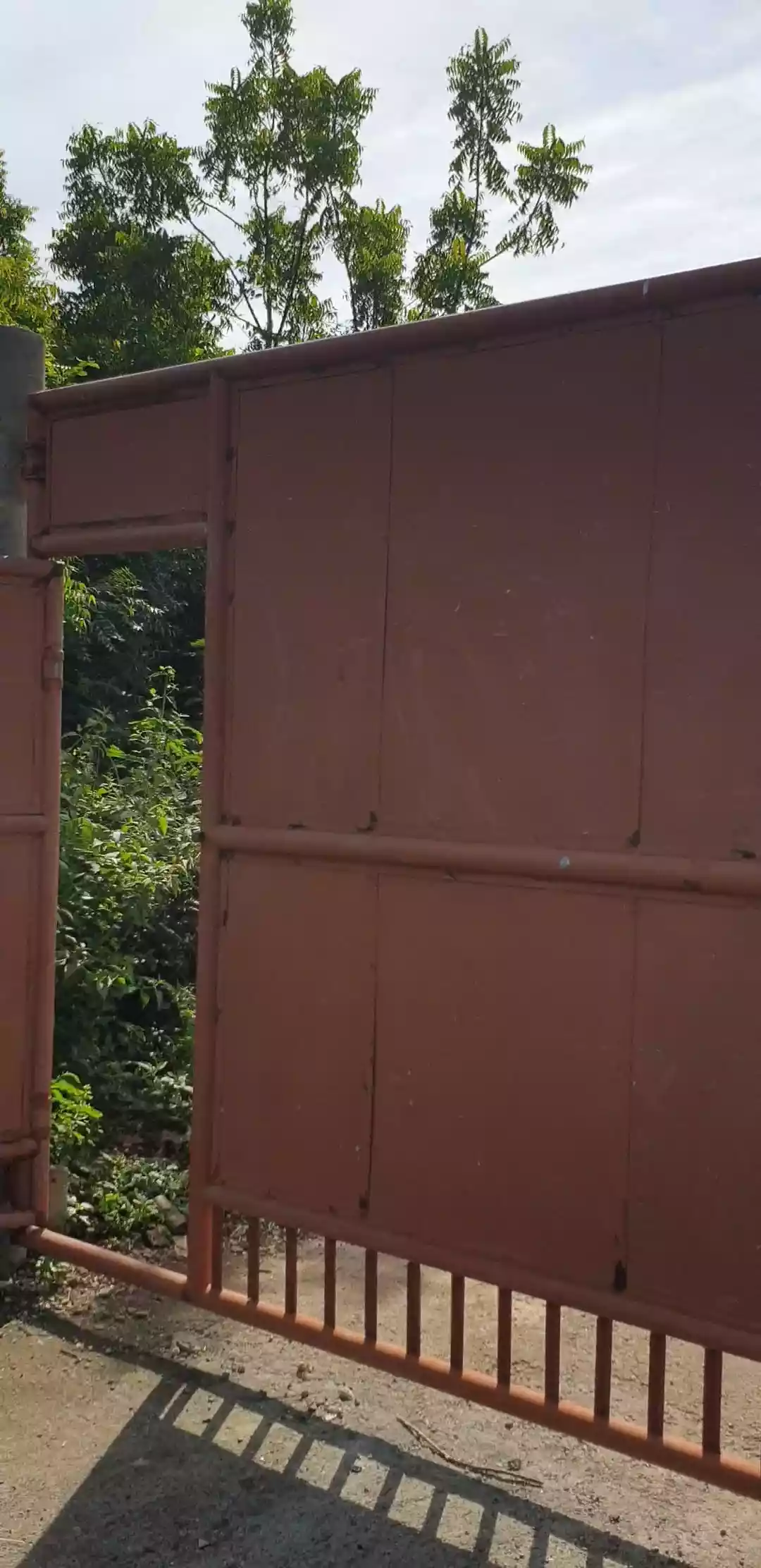 3000 sqm lot in Cordova for Sale/rent — Agricultural Lot in Cordova, Cebu, Philippines — Photo 3