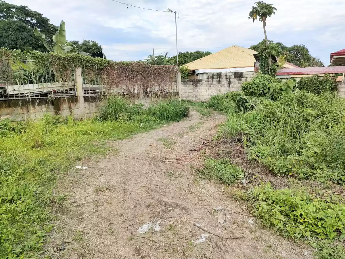 Residential Lot for Sale in Candau-ay, Dumaguete City — Residential Lot in Dumaguete City, Negros Oriental, Philippines — Photo 5