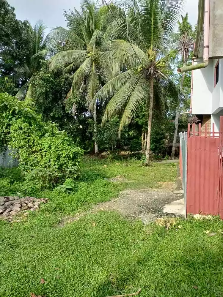 TCT 112-2017000200 — Residential Lot in Tagbilaran City, Bohol, Philippines — Photo 2