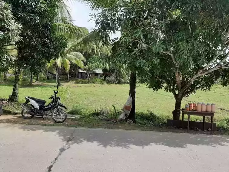 FARM LOT FOR SALE IN TAWINTAWIN, GENERAL LUNA, SIARGAO ISLANDS - photo 5