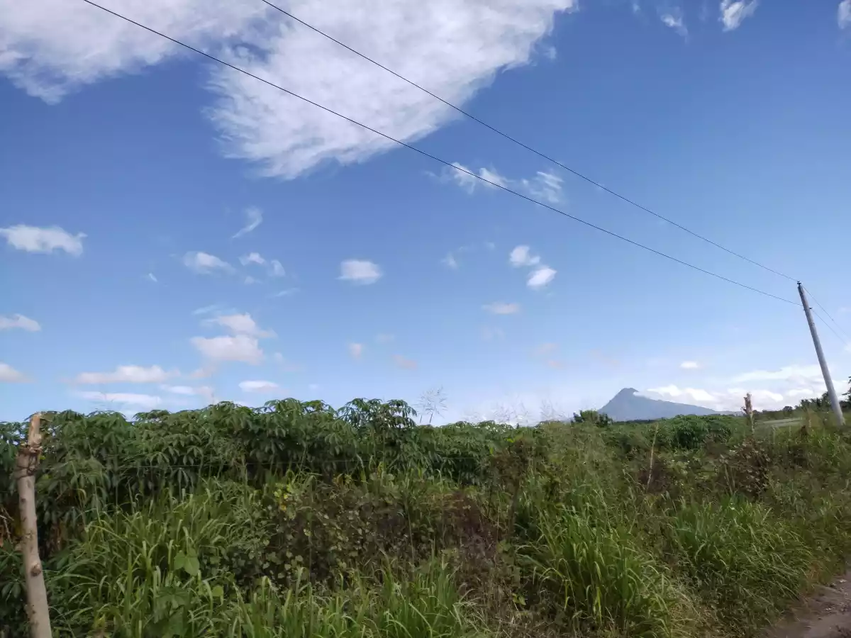 Agriland titled — Agricultural Lot in Polomolok, South Cotabato, Philippines — Photo 6