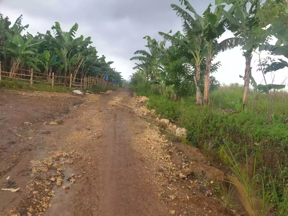 Agricultural Lot for Sale! — Agricultural Lot in Bukidnon, Philippines — Photo 3